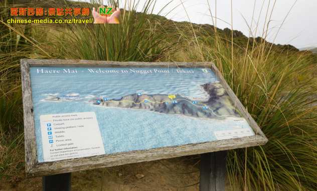 Owaka, Nugget Point Lighthouse 金塊角燈塔