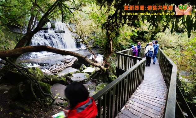 Purakaunui Falls 普拉考努伊瀑布 Nugget Point 金塊角 Owaka Catlins