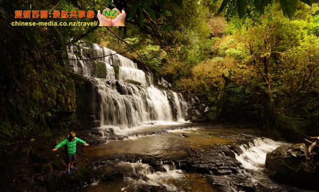Purakaunui Falls 普拉考努伊瀑布 Nugget Point 金塊角 Owaka Catlins