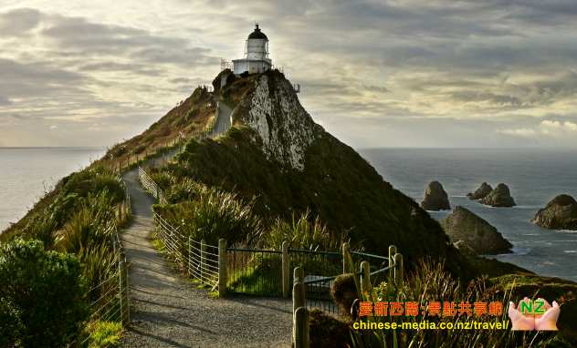Purakaunui Falls 普拉考努伊瀑布 Nugget Point 金塊角 Owaka Catlins