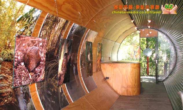 Kiwi Birdlife Park 奇異鳥生態公園  新西蘭獨有野生動物 Tuatara 蜥蝪 毛利文化
