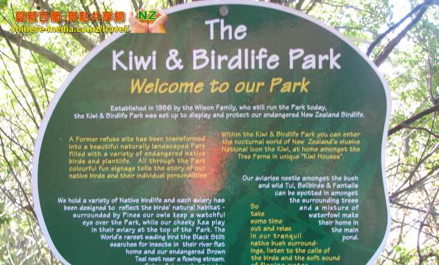 Kiwi Birdlife Park 奇異鳥生態公園  新西蘭獨有野生動物 Tuatara 蜥蝪 毛利文化