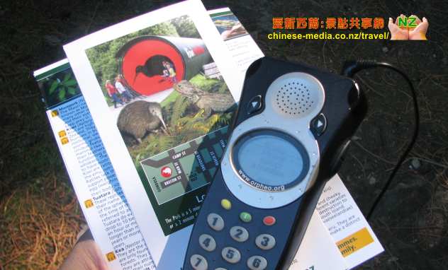 Kiwi Birdlife Park 奇異鳥生態公園  新西蘭獨有野生動物 Tuatara 蜥蝪 毛利文化