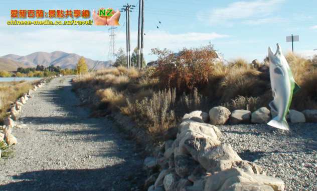 Twizel High Country Salmon 高鄉三文魚場