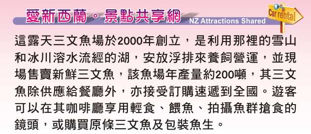 Twizel High Country Salmon 高鄉三文魚場