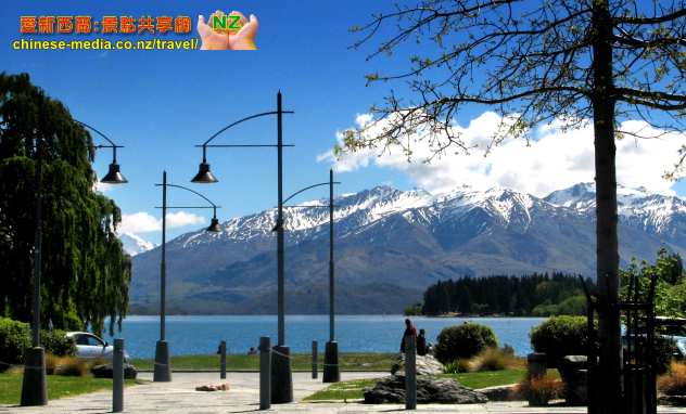 Lake Wanaka 瓦娜卡湖 That Wanaka Tree 瓦納卡孤獨樹網紅明星