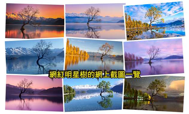 Lake Wanaka 瓦娜卡湖 That Wanaka Tree 瓦納卡孤獨樹網紅明星