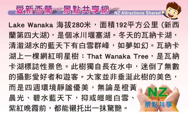 Lake Wanaka 瓦娜卡湖 That Wanaka Tree 瓦納卡孤獨樹網紅明星