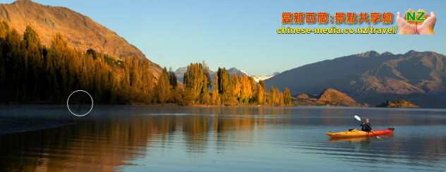Lake Wanaka 瓦娜卡湖 That Wanaka Tree 瓦納卡孤獨樹網紅明星