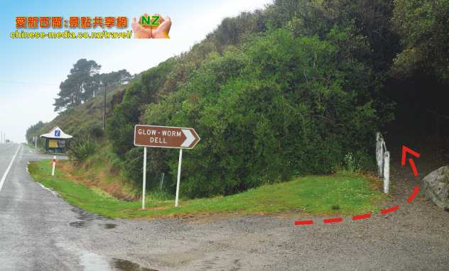 Hokitika 霍基蒂卡 玉石鎮 Hokitika Beach 大沙灘 Glow-Worm Dell 螢光谷