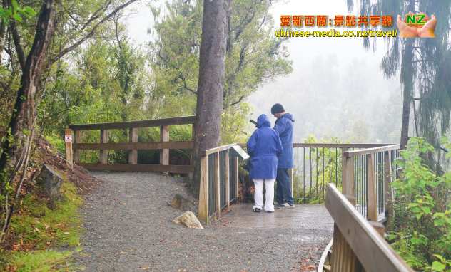 West Coast Hokitika Gorge 霍基蒂卡峽谷 吊橋 步道