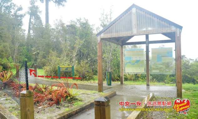 West Coast Hokitika Gorge 霍基蒂卡峽谷 吊橋 步道