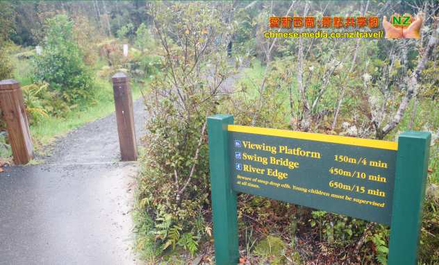 West Coast Hokitika Gorge 霍基蒂卡峽谷 吊橋 步道