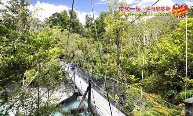 West Coast Hokitika Gorge 霍基蒂卡峽谷 吊橋 步道