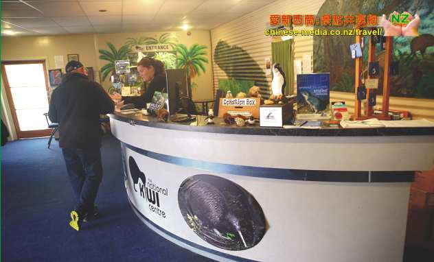 Hokitika 霍基蒂卡 The National Kiwi Centre 國家奇異鳥中心 西岸 West Coast Tuatara 百歲鱷蜥 EELS 鰻魚 