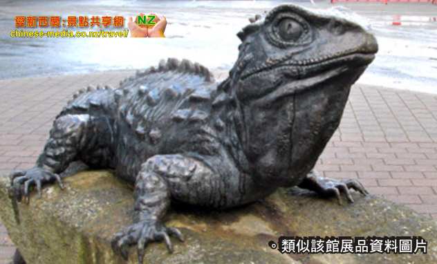 Hokitika 霍基蒂卡 The National Kiwi Centre 國家奇異鳥中心 西岸 West Coast Tuatara 百歲鱷蜥 EELS 鰻魚 