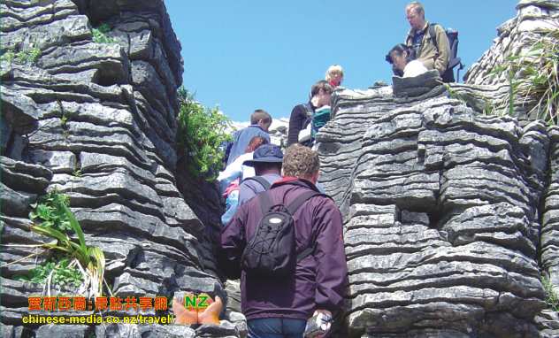 Punakaiki Pancake Rocks 千層薄餅岩