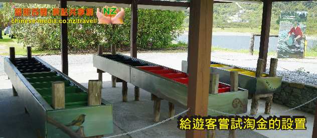 最大的金塊Hon. Roddy Nugge Ross Goldfields  Ross 羅斯鎮